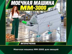 Моечная машина ММ-3000 для овощей