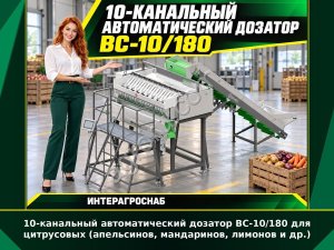 10-канальный автоматический дозатор ВС-10/180 для цитрусовых (апельсинов, мандаринов, лимонов и др.)