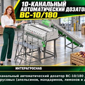 10-канальный автоматический дозатор ВС-10/180 для цитрусовых (апельсинов, мандаринов, лимонов и др.)