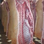 свинина туши п/туши