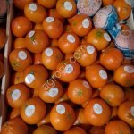 Марокканский мандарин и апельсин