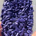 Семена подсолнечника гибрид Аириш