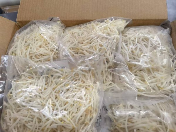 замороженные ростки проростки сои