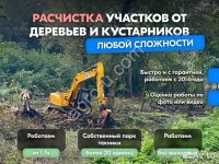 Расчистка территорий от деревьев и пней от 1 Га