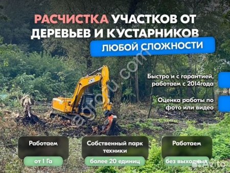Расчистка территорий от деревьев и пней от 1 Га