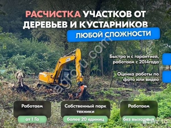 Расчистка территорий от деревьев и пней от 1 Га