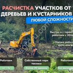 Расчистка территорий от деревьев и пней от 1 Га