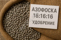 Npk 16:16:16 амофоска