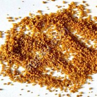 Грецкий орех дробленый в сахаре 1-3 мм грильяж