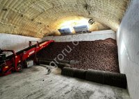 ГОТОВЫЙ БИЗНЕС ВЫРАЩИВАНИЕ КАРТОФЕЛЯ.