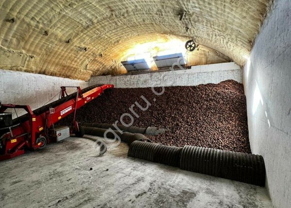 ГОТОВЫЙ БИЗНЕС ВЫРАЩИВАНИЕ КАРТОФЕЛЯ.