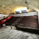 ГОТОВЫЙ БИЗНЕС ВЫРАЩИВАНИЕ КАРТОФЕЛЯ.
