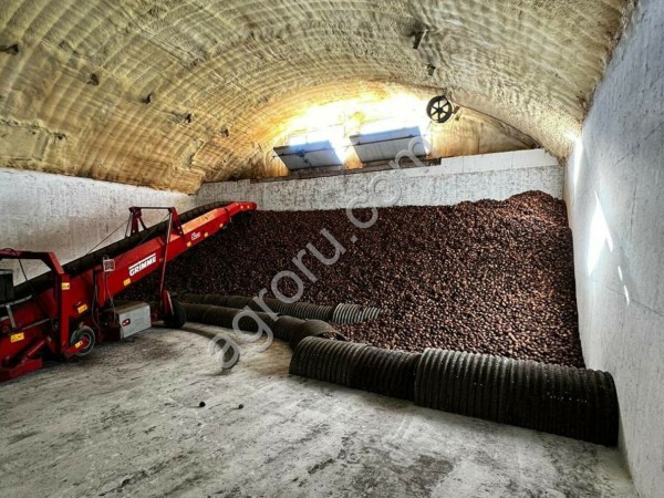 ГОТОВЫЙ БИЗНЕС ВЫРАЩИВАНИЕ КАРТОФЕЛЯ.