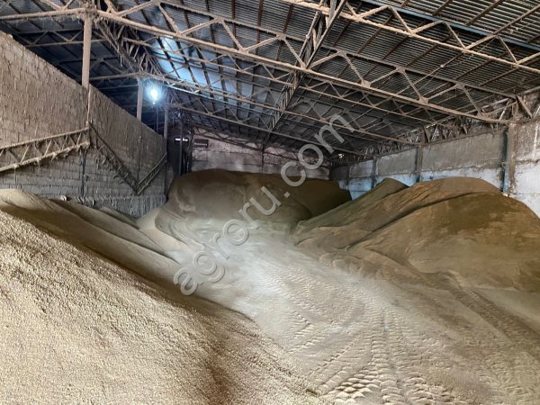 шрот рапсовый