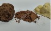 Линия переработки какао бобов.