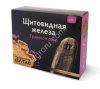 Травяной сбор  Щитовидная железа 100 гр