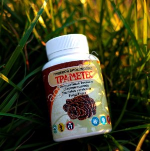 Траметес 30 кап ПК,