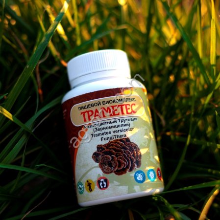 Траметес 30 кап ПК,