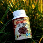 Траметес 30 кап ПК,