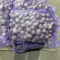 Картофель сорт Гала
