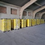 рапс семена озимый гибрид Мерседес