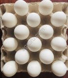 Инкубационное яйцо гуся Линда