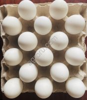 Инкубационное яйцо гуся Линда