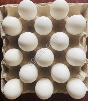 Инкубационное яйцо гуся Линда