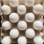 Инкубационное яйцо гуся Линда