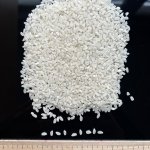 Рис для суши оптом от производителя