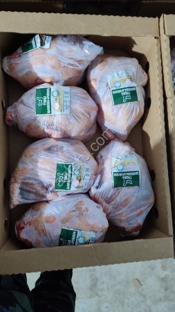 Курица- бройлер  2-2,5 кг зернового откорма