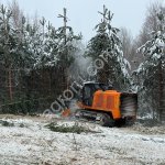 Расчистка территорий от деревьев, кустарников и корней