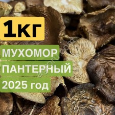 Мухомор пантерный сушеный