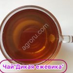 ЧайДикая ежевикаферментированный