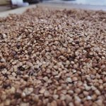 Крупа гречневая, высший сорт