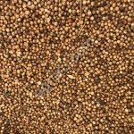 Кориандр, очищенный, целый, мешки 25 кг