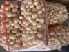 Лук репчатый очищенный