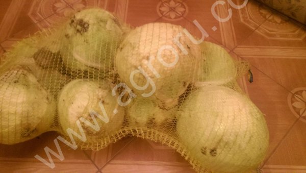 капуста оптом