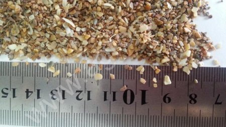 соли лизунцы, ракушка кормовая