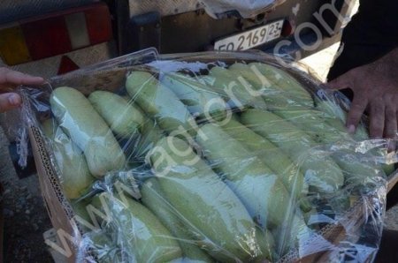 Кабачки свежие