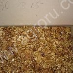 Ядро грецкого ореха