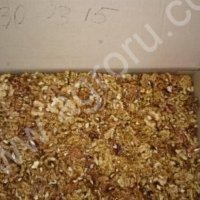 Ядро грецкого ореха