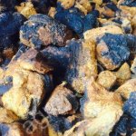 Чага березы, чистая, сухая, сырая