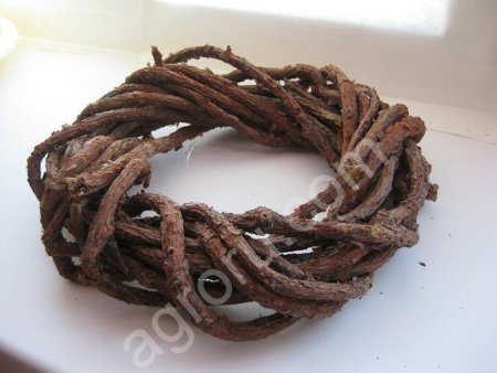 Лианы Лимонника Дальневосточного