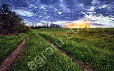 100 Га земля сельхозназначения