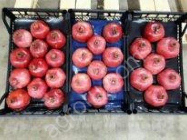 Гранат оптом