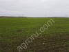 Земля в Тульской области от собственника