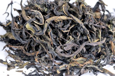 Иван чай Волжский