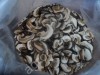 Белый сушенный гриб 1,2,3 сорта