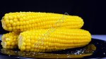 Элитные семена кукурузы Зерноградский 282 МВ, 354 МВ